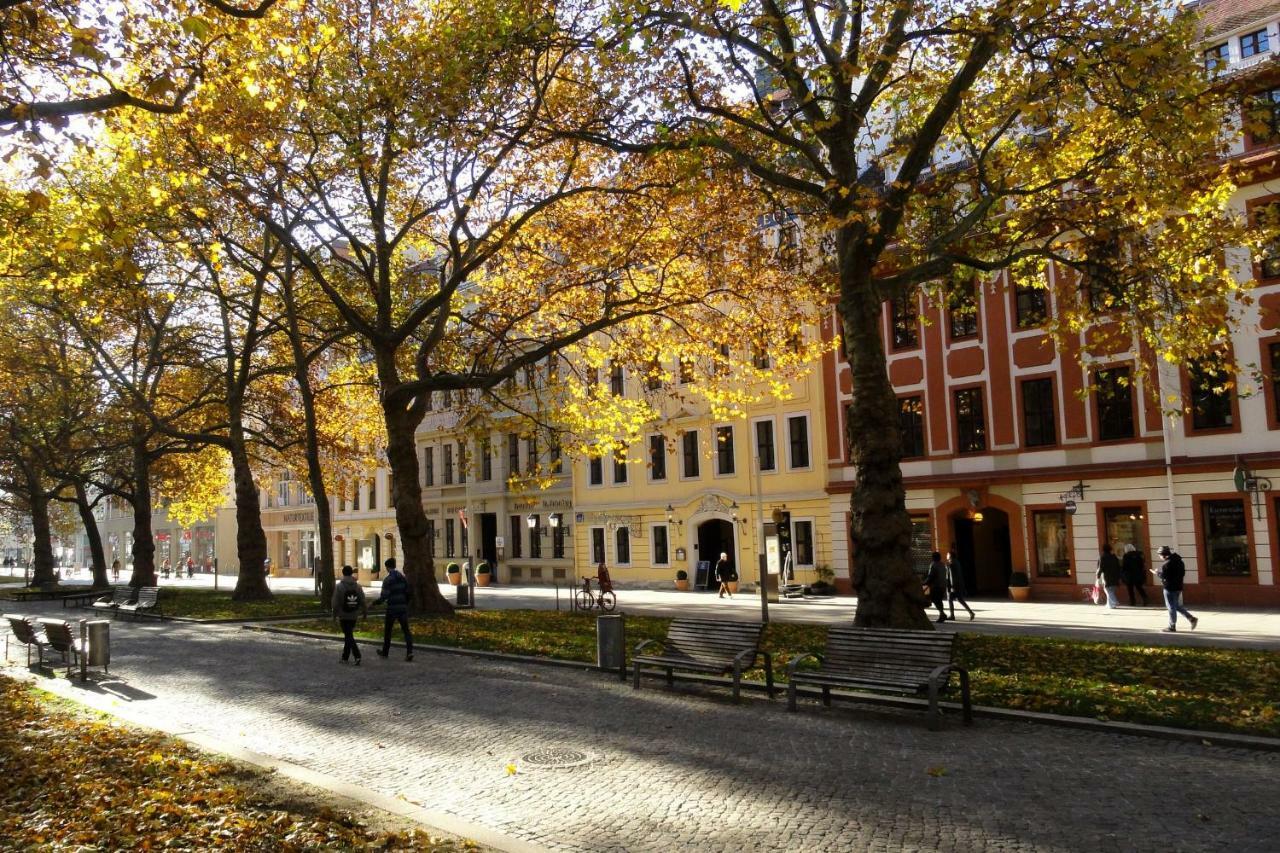 Fewo Canaletto Im Stadtzentrum Dresde Exterior foto